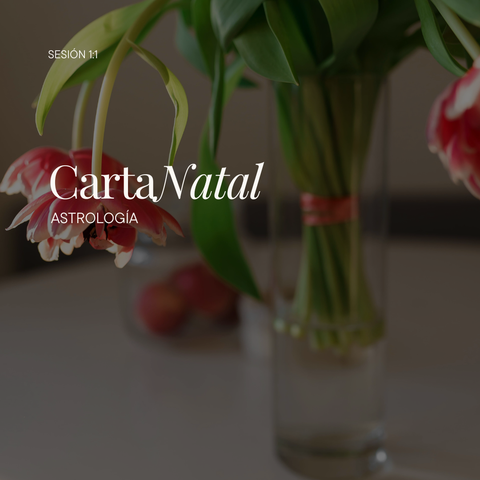 Sesión Carta Natal