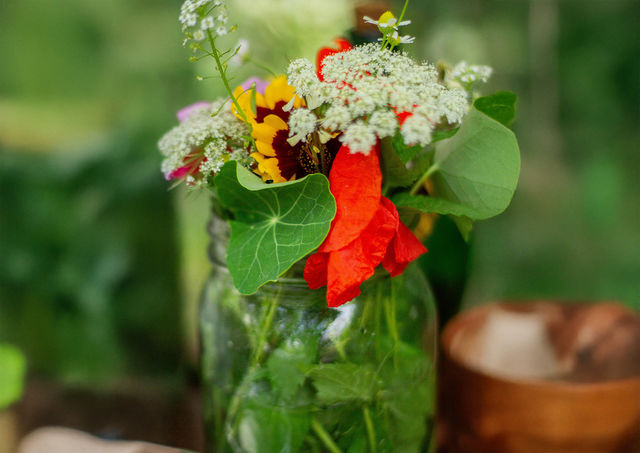 HÍGADO Y VESÍCULA EN PRIMAVERA: la mirada de la Medicina China