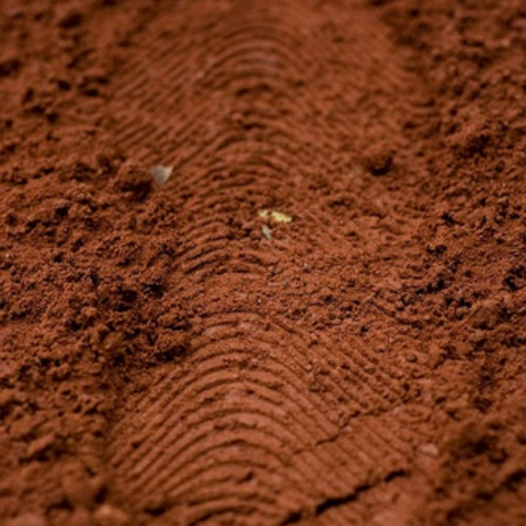 Sesión Hipnosis Clínica Reparadora (HCR)