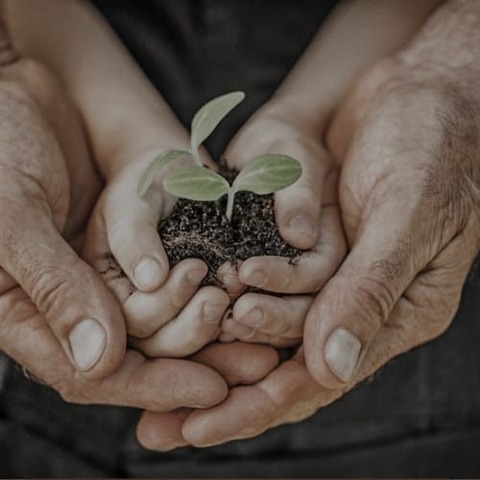 Biodescodificacion genética emocional Sesión 1
