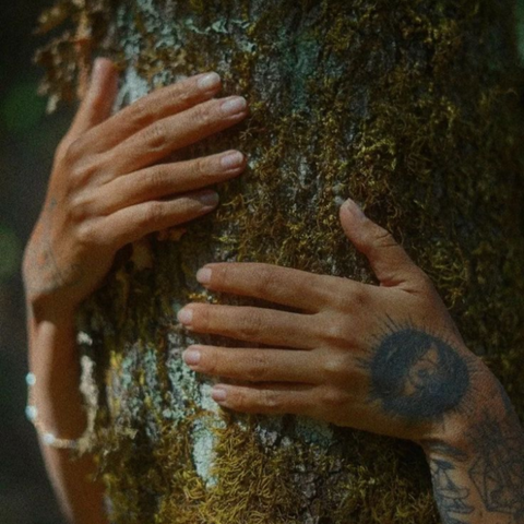 Sesión 1 · Biodescodificación – Primera Etapa