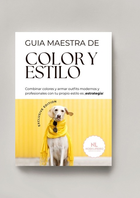 GUIA MAESTRA DE COLOR Y ESTILO: ¡LA HERRAMIENTA QUE BUSCABAS!