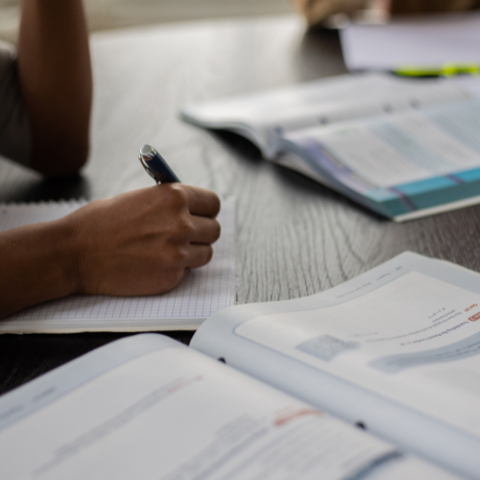 Neuroeducación para la vida real