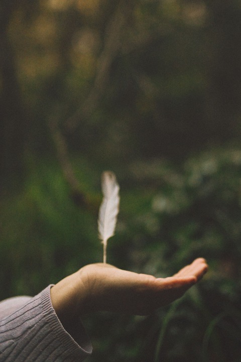 Ra: Iniciación para canalizar los Registros Akáshicos con tu corazón