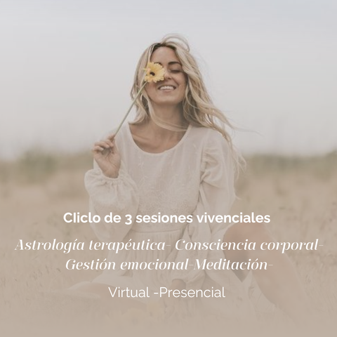 Sesión individual (Dentro del programa de 3 sesiones)