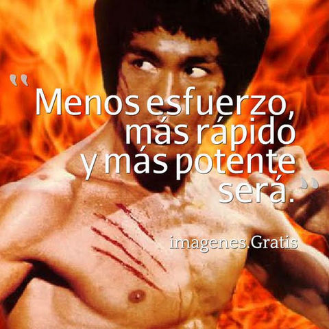 EL ARTE DE LA CAPACITACION PROGRESIVA DEL JEET KUNE DO KUNG FU.