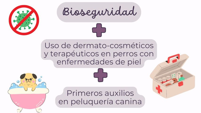 COMBO PELUQUERIA CANINA