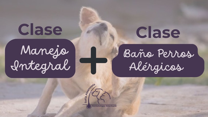 Clase de Baño + Clase Manejo Integral Perro alérgico.