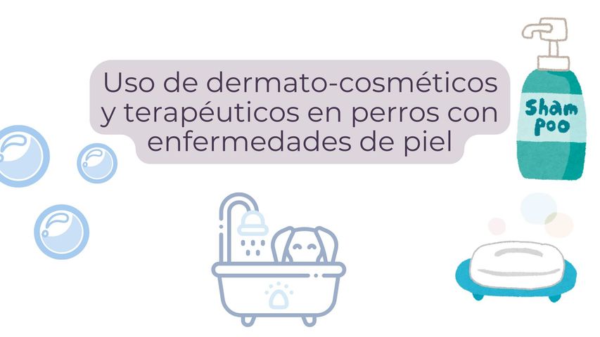 Uso de dermato-cosméticos y  terapéuticos en perros con enfermedades de piel