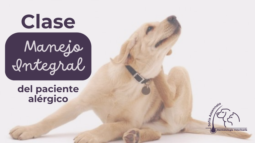 Manejo Integral del Paciente Alérgico