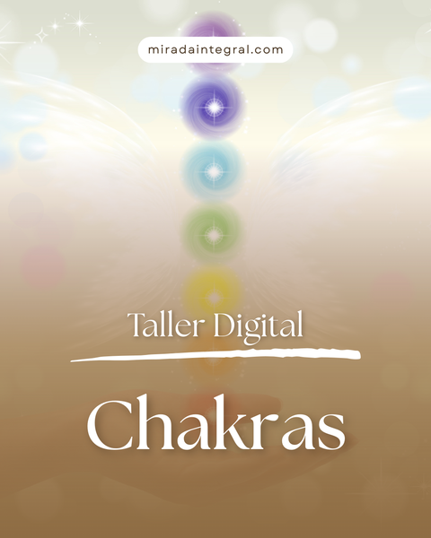 ✨Chakras✨