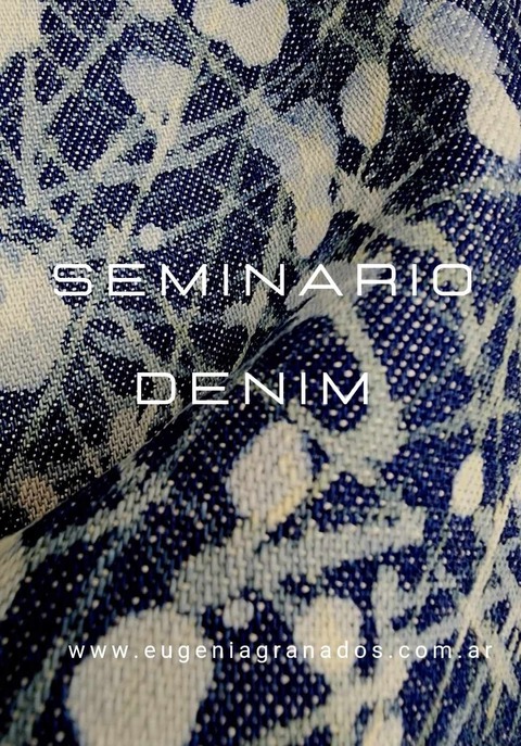 Seminario de DENIM
