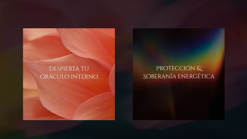 Las bases de tu soberanía
