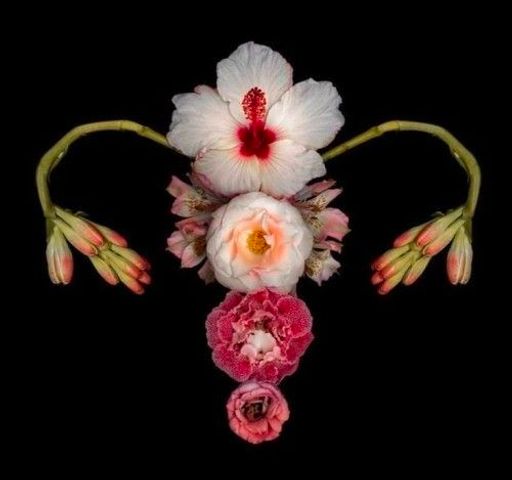 Sesión de admisión para acompañamiento 1:1