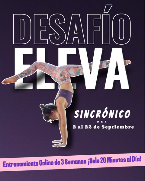 Acompañamiento y clases en vivo | Desafío Eleva
