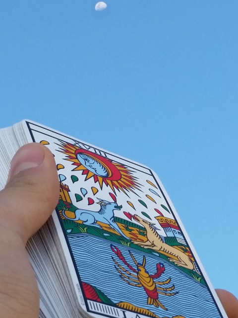 Curso de Tarot de Marsella 