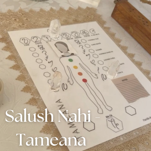 Salush Nahi - Tameana 