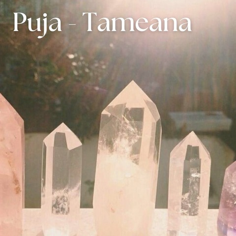 Puja - Tameana 