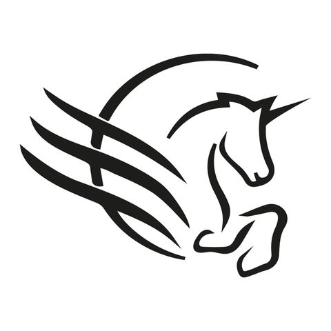 CÓDIGO PEGASSO