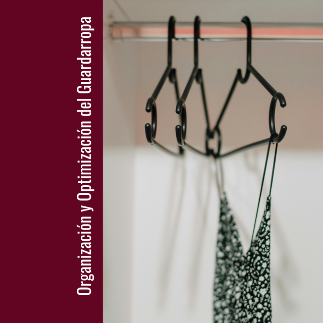Organización y Optimización del Guardarropa