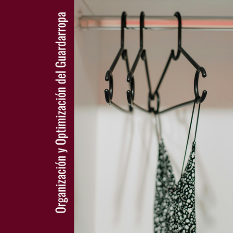 Organización y Optimización del Guardarropa