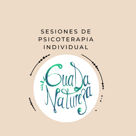   Psicoterapia individual