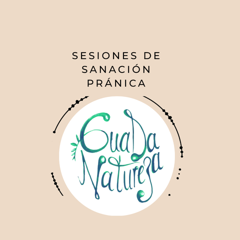 Sanación Pranica