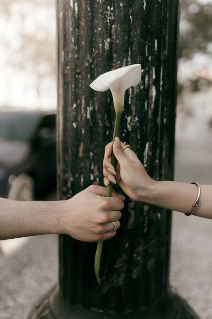 Cuando cobrar genera culpa: mirada transgeneracional y emocional