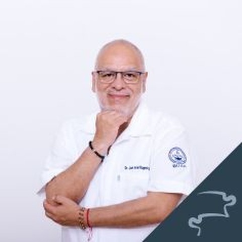 Módulo 1 de Técnica Estructural desde casa con Dr. Joel Rugerio 