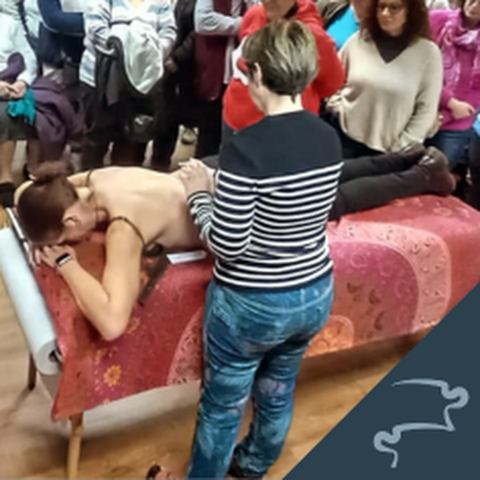 Módulo 1 de Técnica Estructural desde casa con Elisabet Vallès