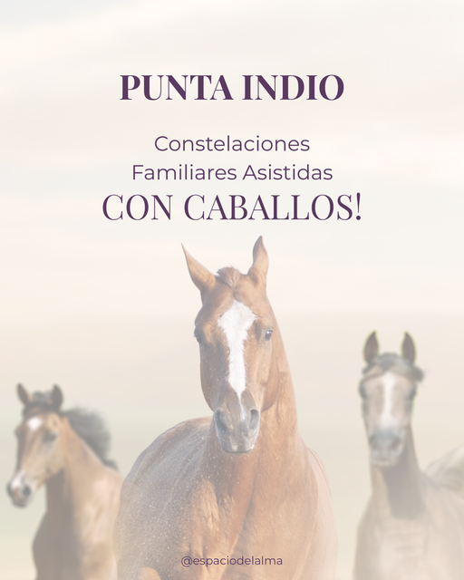 🐎P. INDIO - Talleres de C. Familiares Asistidas con Caballos