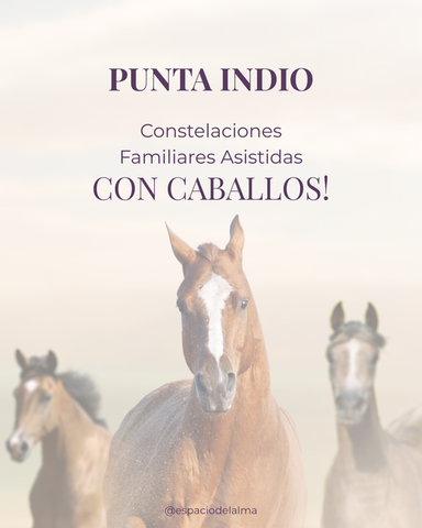 🐎P. INDIO - Talleres de C. Familiares Asistidas con Caballos
