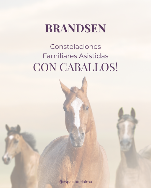 🐎 Constelaciones Familiares Asistidas por Caballos: SESIONES INDIVIDUALES en Brandsen