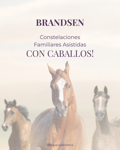 🐎 Constelaciones Familiares Asistidas por Caballos: SESIONES INDIVIDUALES en Brandsen