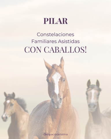 🐎 PILAR - Taller de C. Familiares Asistidas con Caballos