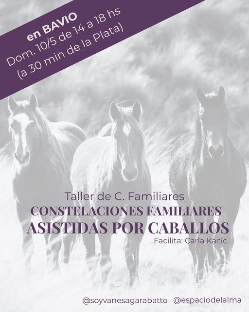🐎 BAVIO (30 min de la Plata) - Taller de C. Familiares Asistidas con Caballos
