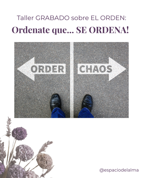 Taller sobre el ORDEN: ¡Ordenate que se Ordena!