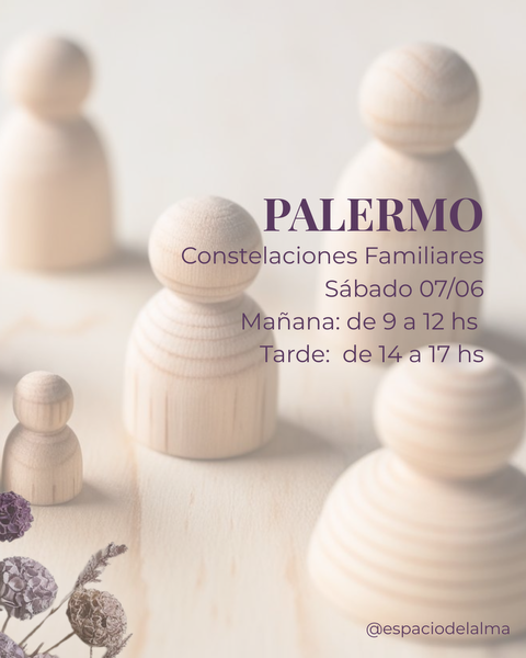SÁBADO - JUNIO - Seña Taller de Constelaciones Familiares PRESENCIAL en PALERMO, CABA - 