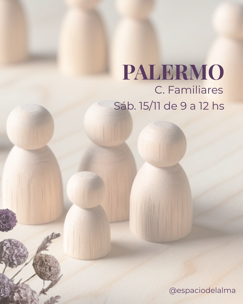 SÁBADO - NOVIEMBRE- Seña Taller de Constelaciones Familiares PRESENCIAL en PALERMO, CABA -