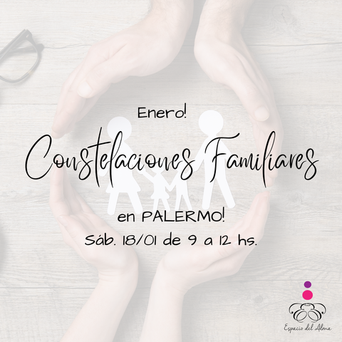 SÁBADO- ENERO! Seña Taller de Constelaciones Familiares PRESENCIAL en Palermo-CABA 