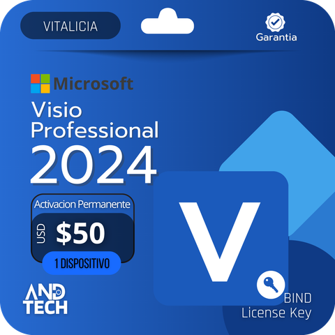Visio 2024 Pro BIND
