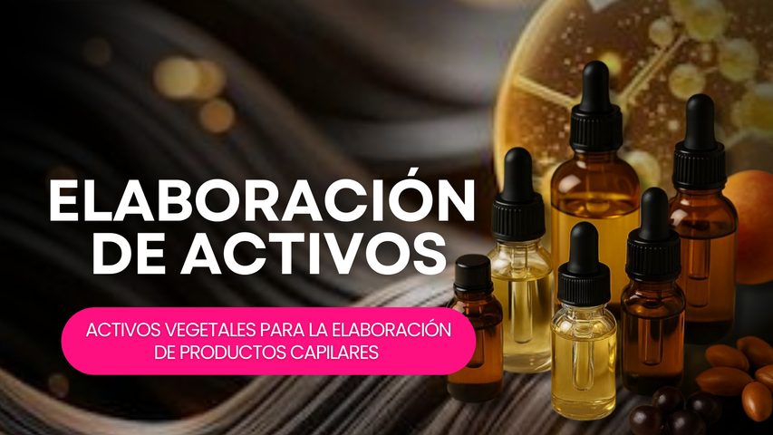 ELABORACIÓN DE ACTIVOS VEGETALES 
