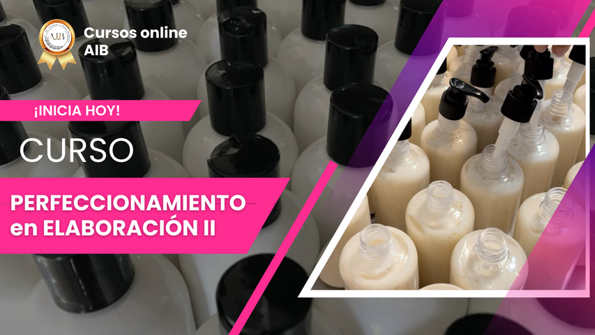 ELABORACIÓN DE PRODUCTOS 2 - PERFECCIÓNAMIENTO 