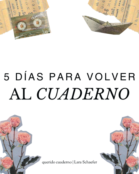 Volver al cuaderno