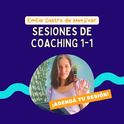 Coaching 1-1