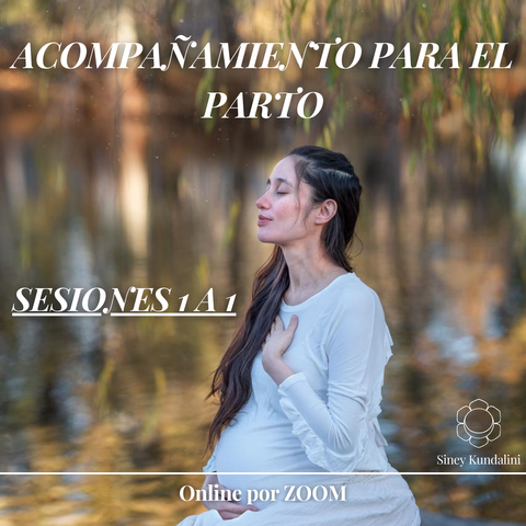 SESIÓN 1 A 1 DE ACOMPAÑAMIENTO PARA EL PARTO