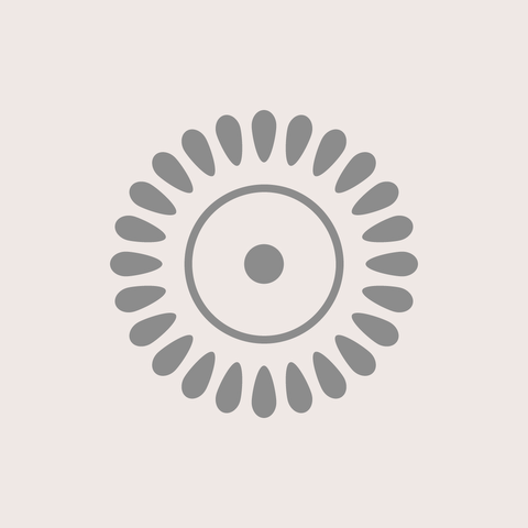 Sesión de Profundización DH