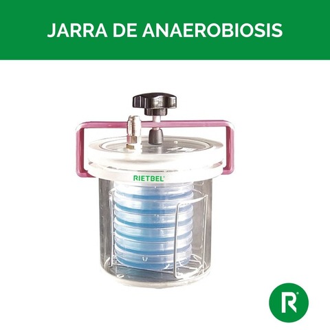 JARRA DE ANAEROBIOSIS 