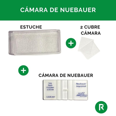 CÁMARA DE NEUBAUER 