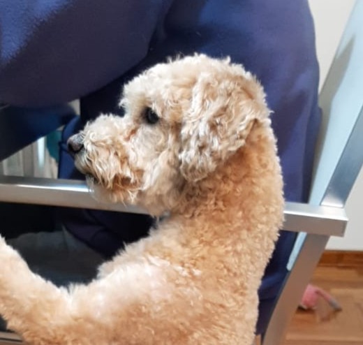 Cori y Sebas, tutores de London